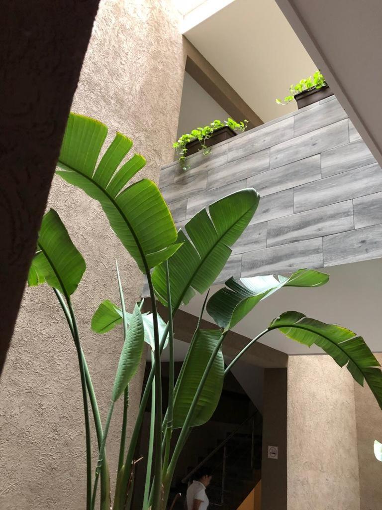Hotel Plaza Arteaga Монтеррей Экстерьер фото